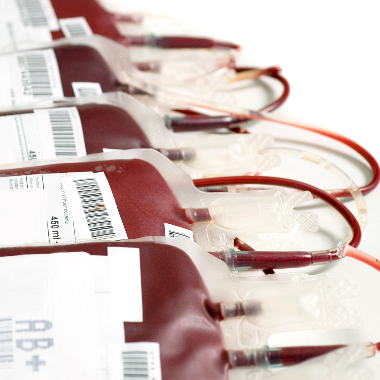 blood bags