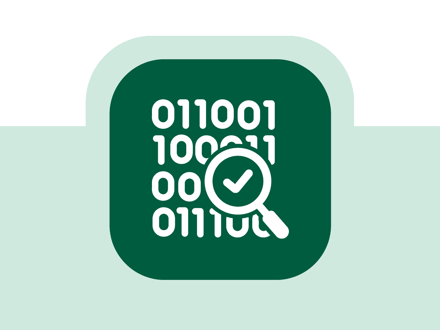 data quality icon 
