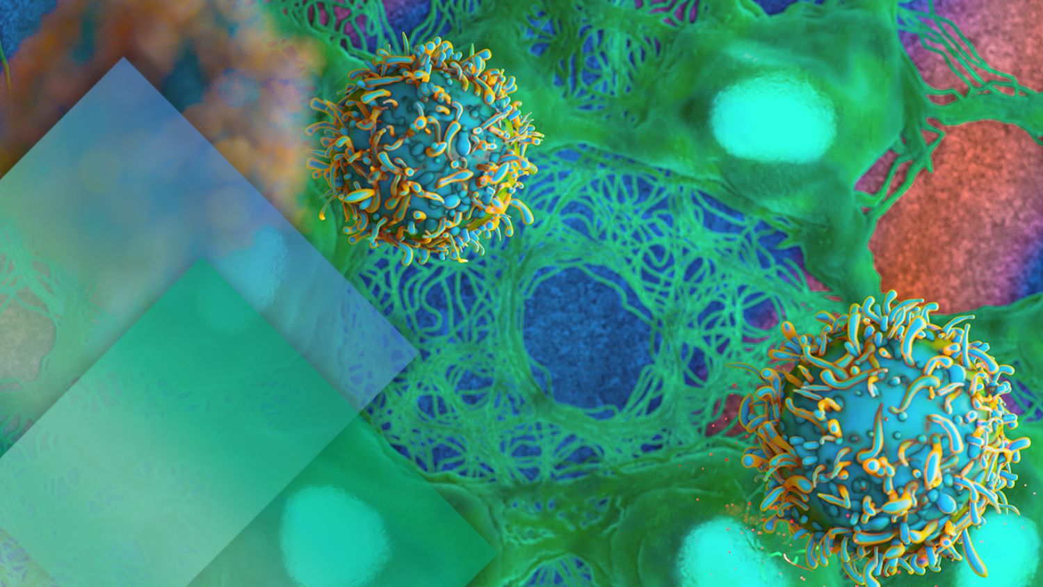 Terumo Blood and Cell Technologies introduces APAC C&GT Ecosystem Blueprint