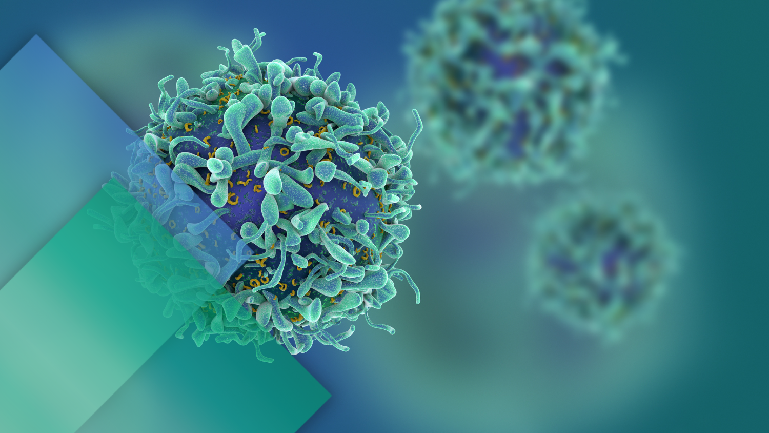 Taiwan Bio partners with Terumo Blood and Cell Technologies to advance automated Treg manufacturing on Quantum Flex